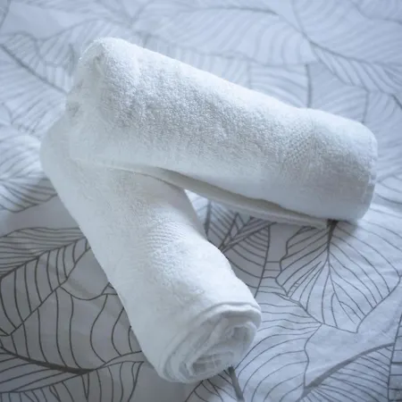 Les Maisons Bareyre - Grandes Maisons Avec Terrasse Holiday home